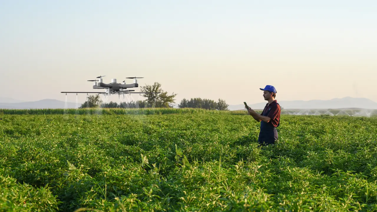 Um agricultor moderno a usar um tablet para programar um drone agrícola, ilustrando a evolução dos empregos no campo, em vez da sua eliminação pelos robôs agricultores.