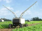 Um robô agricultor autónomo a mover-se de forma precisa por uma lavoura verdejante, simbolizando o futuro da tecnologia no campo.